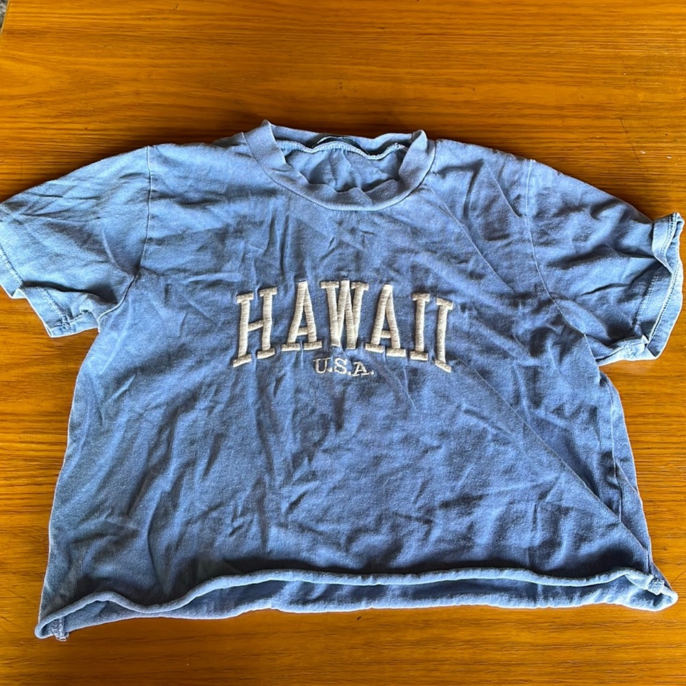 Brandy Melville light blue Hawaii shirt